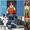 CUSTOM DOG PORTRAIT Canvas ∙ Custom Pet Portrait Canvas ∙ Custom Dog Canvas ∙ Custom College Dorm ∙ Custom Dog Portrait Painting ∙ Pet Loss