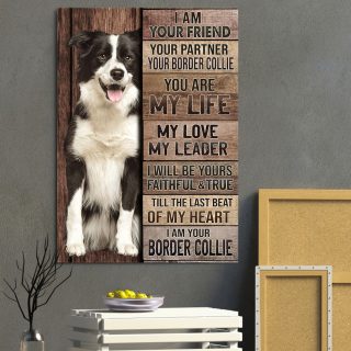 I Am Your Friend Your Partner Your Border Collie Canvas – Cat And Flower - Canvas Wall Art - Canvas Wall Art - Best Gift for Dog Lovers