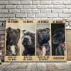 Staffordshire Bull Terrier – Be Strong When You Are Weak, Be Brave When You Are Scared 0.75& 1,5 Framed Canvas - Home Living- Wall Decor